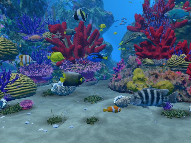 A coral reef aquarium with colourful fish, coral and a sea turtle